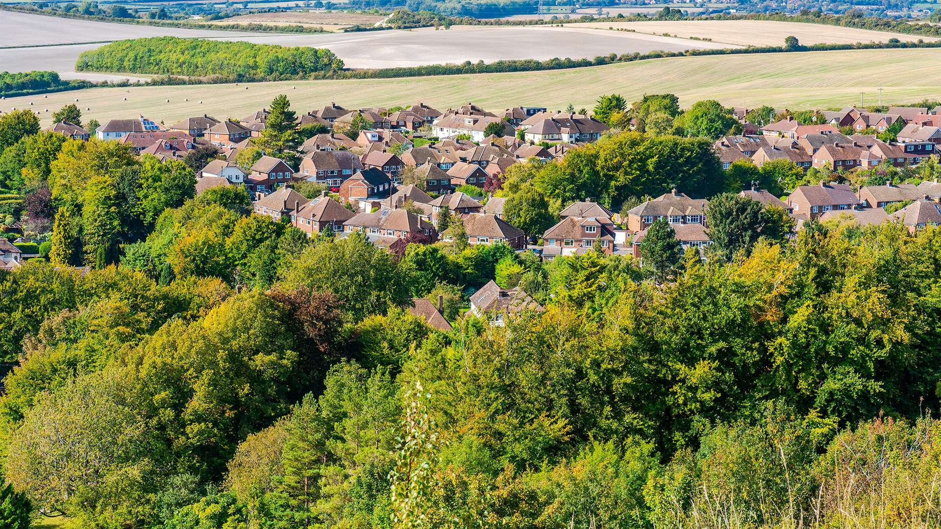 Chiltern Hills, Bedfordshire, UK