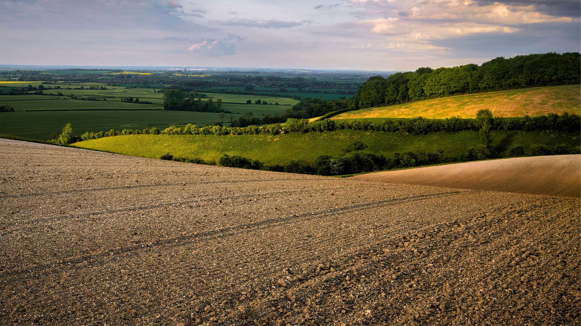 Barton Hills in Bedfordshire