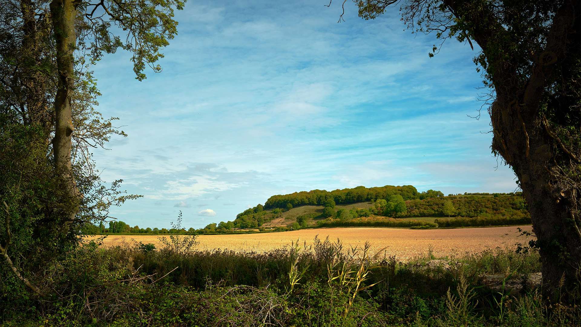The Chiltern Hills in Bedfordshire, England