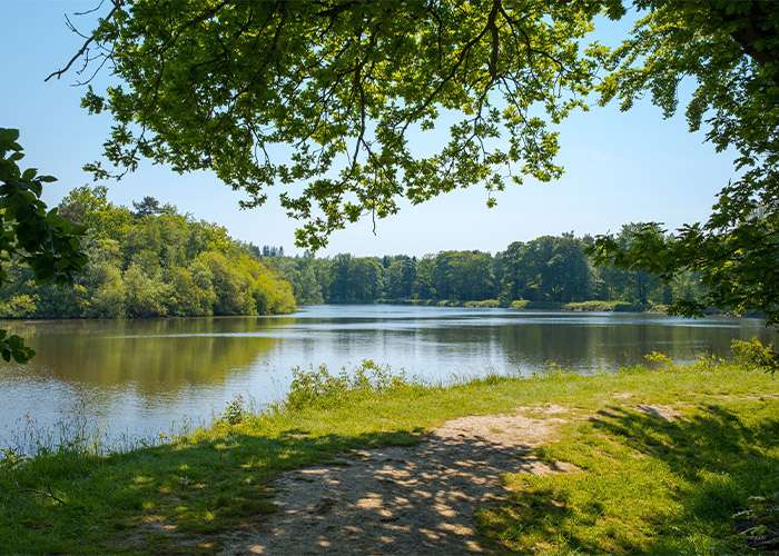 A tranquil lake surrounded by lush greenery. Bolton, UK.